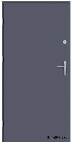 ENTRANCE DOOR 56mm LAK FULL SMOOTH 90
