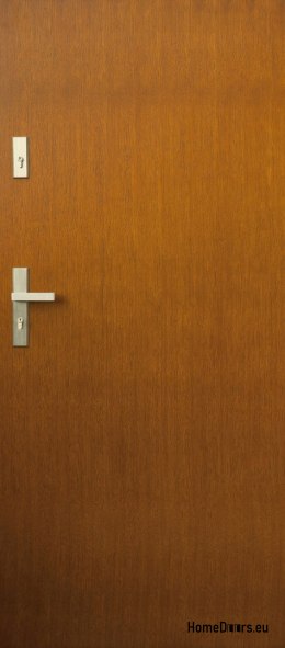 Exterior doors, wooden plate DP21 72mm