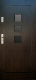 Exterior doors, wooden panel DP41 WARM