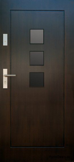 Exterior doors, wooden panel DP41 WARM
