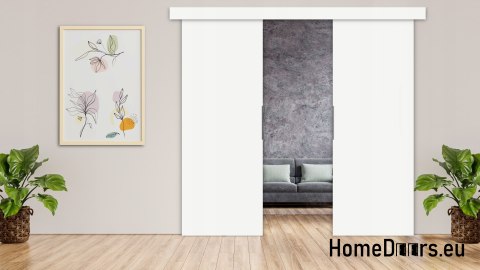 Double-leaf sliding wall door + system Double-leaf sliding wall door + system