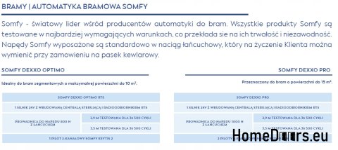 Brama garażowa segmentowa 2500x2000 mm Brama garażowa segmentowa 2500x2000 mm