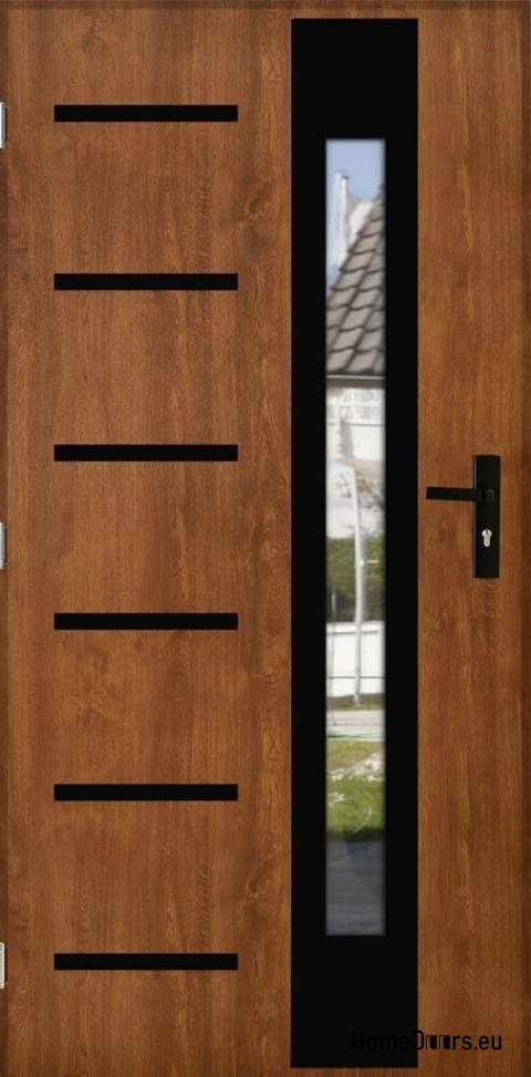 Exterior door THICK 101mm WARM WITH MIRROR Exterior door THICK 101mm WARM WITH MIRROR