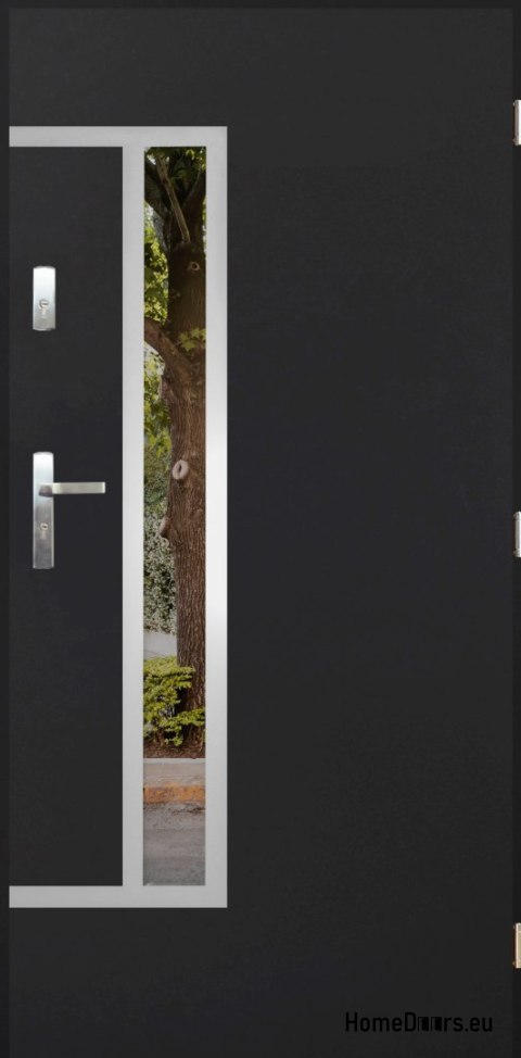 Exterior door with mirror W-8 INOX 70/80/90/100 Exterior door with mirror W-8 INOX 70/80/90/100