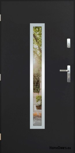 Exterior door with mirror W-10 INOX 70/80/90/100