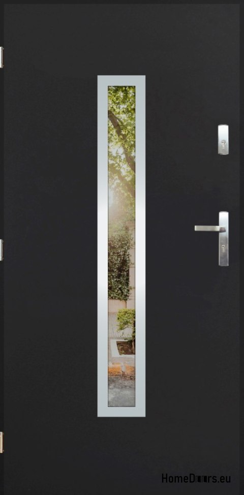 Exterior door with mirror W-10 INOX 70/80/90/100 Exterior door with mirror W-10 INOX 70/80/90/100