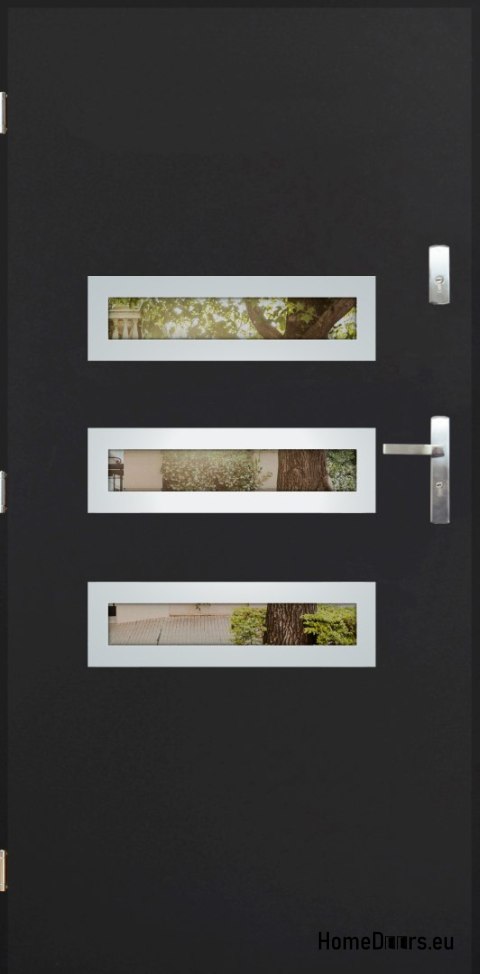 Exterior door with mirror W-4 INOX 70/80/90/100 Exterior door with mirror W-4 INOX 70/80/90/100