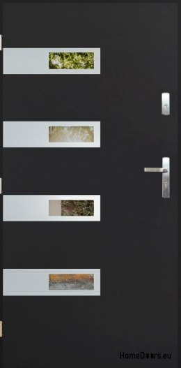 Exterior door with mirror W-5 INOX 70/80/90/100