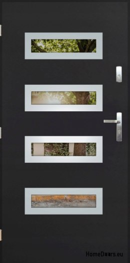 Exterior door with mirror W-6 INOX 70/80/90/100