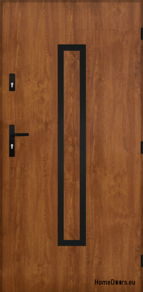Solid exterior door A-10 BLACK 70/80/90/100 Solid exterior door A-10 BLACK 70/80/90/100