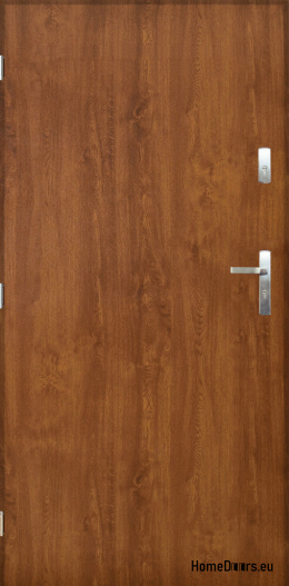 Solid flat exterior doors INOX 70/80/90/100