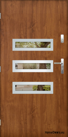 Exterior door with mirror W-4 INOX 70/80/90/100