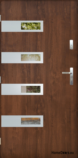 Exterior door with mirror W-5 INOX 70/80/90/100
