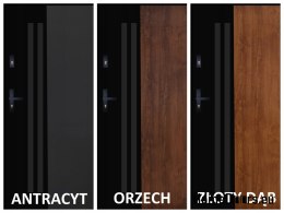 Exterior Door PANTOR BERGEN 01 Right 90 Golden Oak Thick 72mm Warm