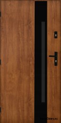 Exterior doors Polish steel 55mm Tango 04 80 left golden oak
