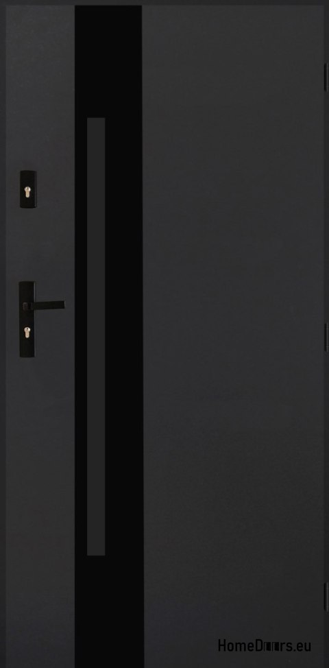 Exterior door Polish steel 55mm Tango 04 80 right anthracite Exterior door Polish steel 55mm Tango 04 80 right anthracite