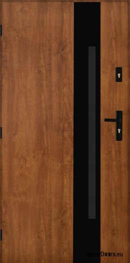 Exterior doors Polish steel 55mm Tango 04 90 left golden oak