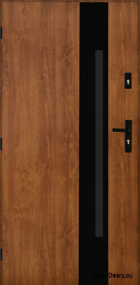 Exterior doors Polish steel 55mm Tango 04 90 left golden oak