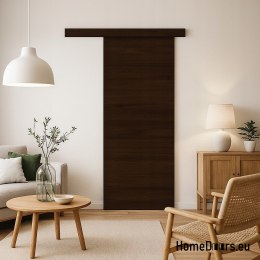 Wall-mounted sliding door ALFA + sliding system BIRCH FATHERS DARK 85