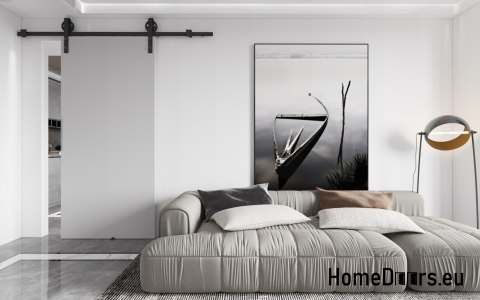 Wall Sliding Door 80 ALFA LOFT A 04 Grey 85 + Sliding System