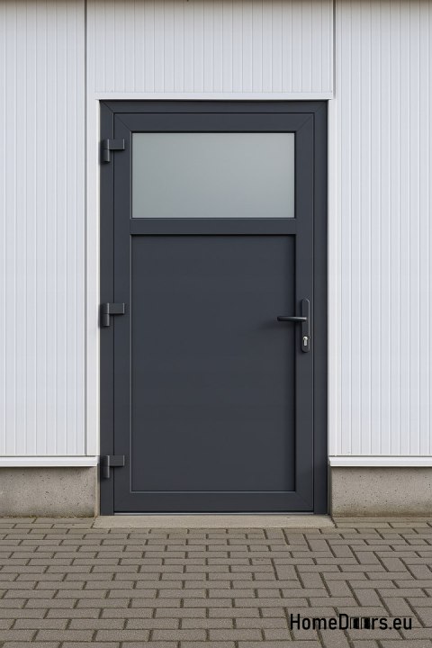 EXTERNAL TECHNICAL UTILITY DOOR PVC 110X205 cm LEFT ANTHRACITE