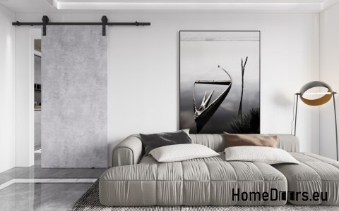 Sliding door 70 wall-mounted ALFA LOFT P 01 concrete 74 + sliding system