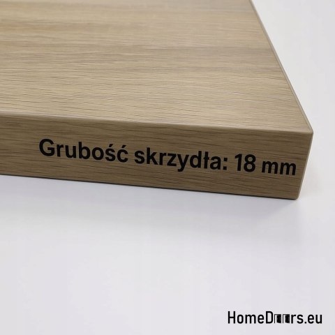 Wall Mounted Sliding Door 80 ALFA Wotan Oak 85 + Sliding System Thick