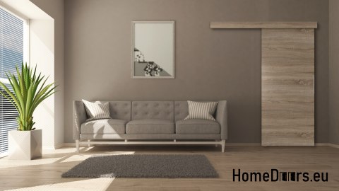 Sliding door 90 wall-mounted ALFA beech Norwegian 95+ sliding system